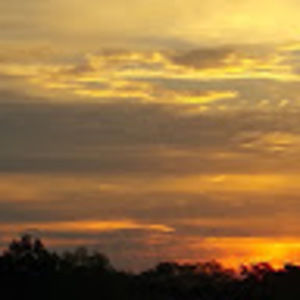 Meet your Posher, Dimples